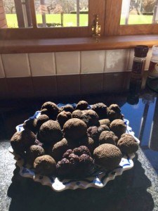 NZ Black Truffles