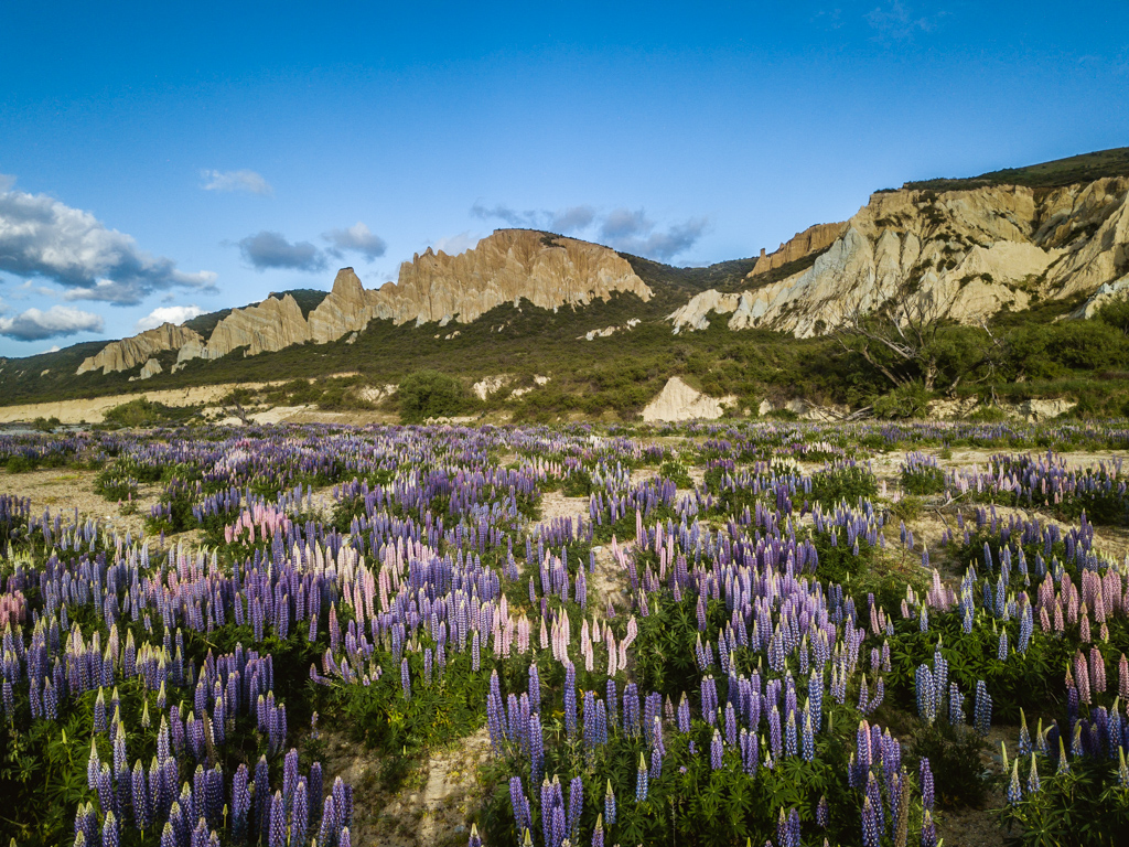 Clay Cliffs