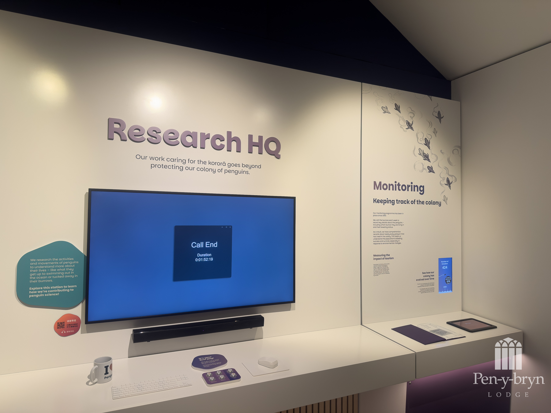 interactive penguin display