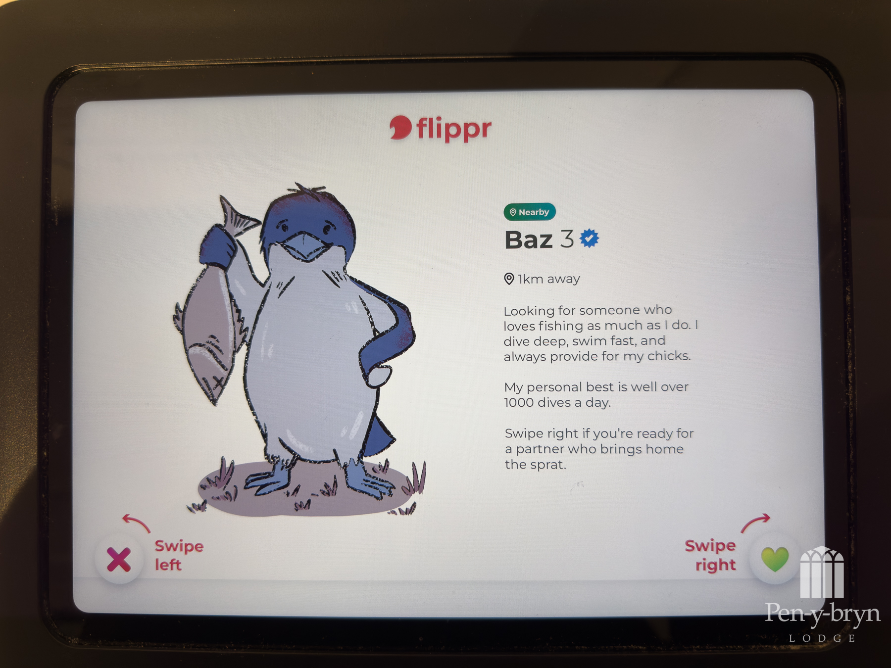 penguin-centric dating app