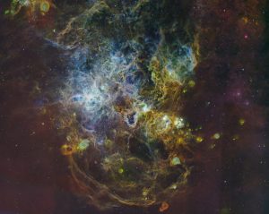 The tendrils of the Tarantula Nebula were considered one of the finest objects in the sky by 19th Century astronomers
